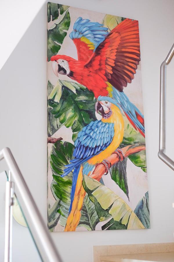 Amazing Views Casa Hummingbird Apartment Lagos Exterior foto